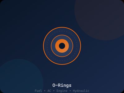 O-Rings